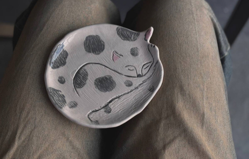 кот на блюде фото 1