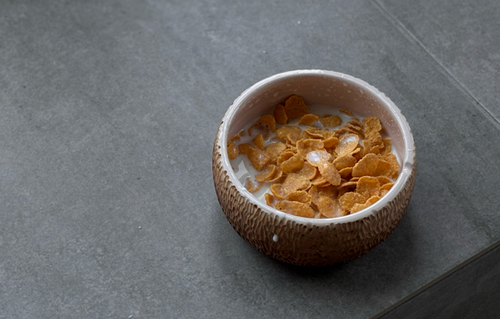 чаша кокос фото 1